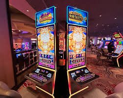 start77 live casino interface showing blackjack, roulette, and Dragon Tiger tables